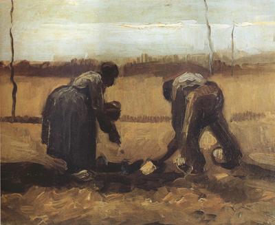 Vincent Van Gogh Peasant and Peasant Woman Planting Potatoes (nn04) oil painting image